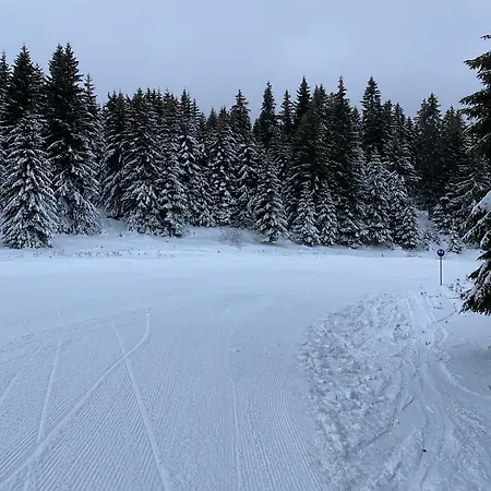 Golden View P82 - Milmari & * Kopaonik