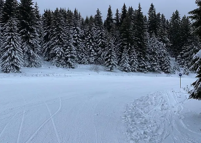 Golden View P82 - Milmari & * 科帕奥尼克